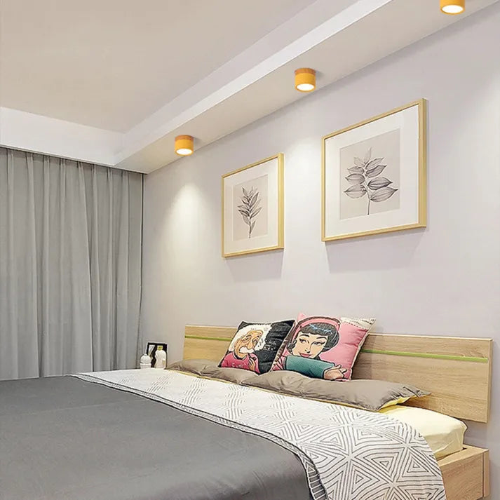 Ceiling Light Installed In Living Room Setting - OroDwell