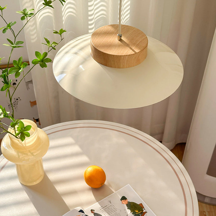 Acrylic Pendant Lamp Additional Angle View
