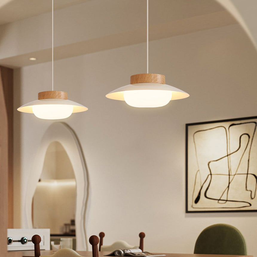 Acrylic Pendant Lamp for Modern Homes
