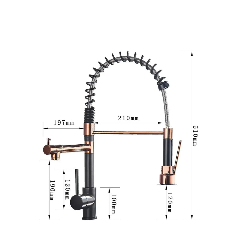 Dual Spout Faucet Close Detail View