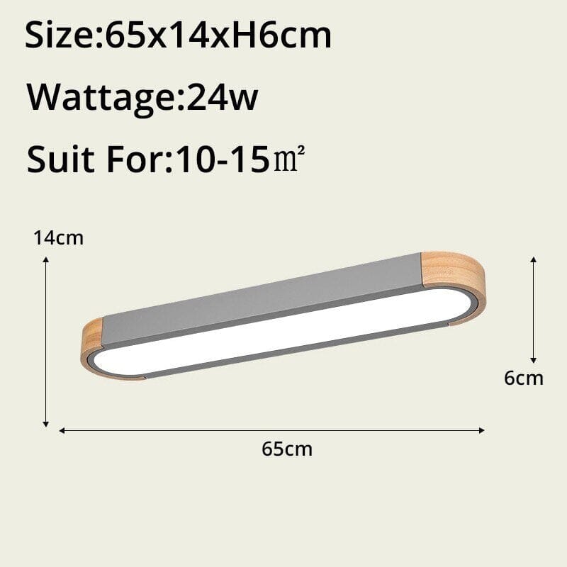 Ceiling Light Slim Profile Modern Design