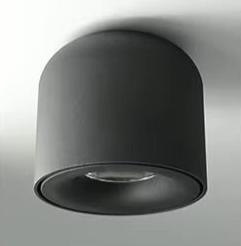 Pendant Light Aluminum Body Painted Finish