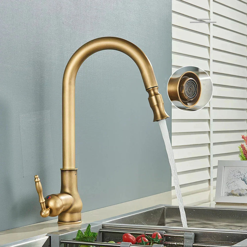 Vintage brass kitchen faucet - swivel spout design