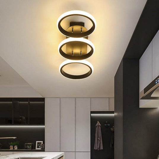 Ceiling Light Close-Up View