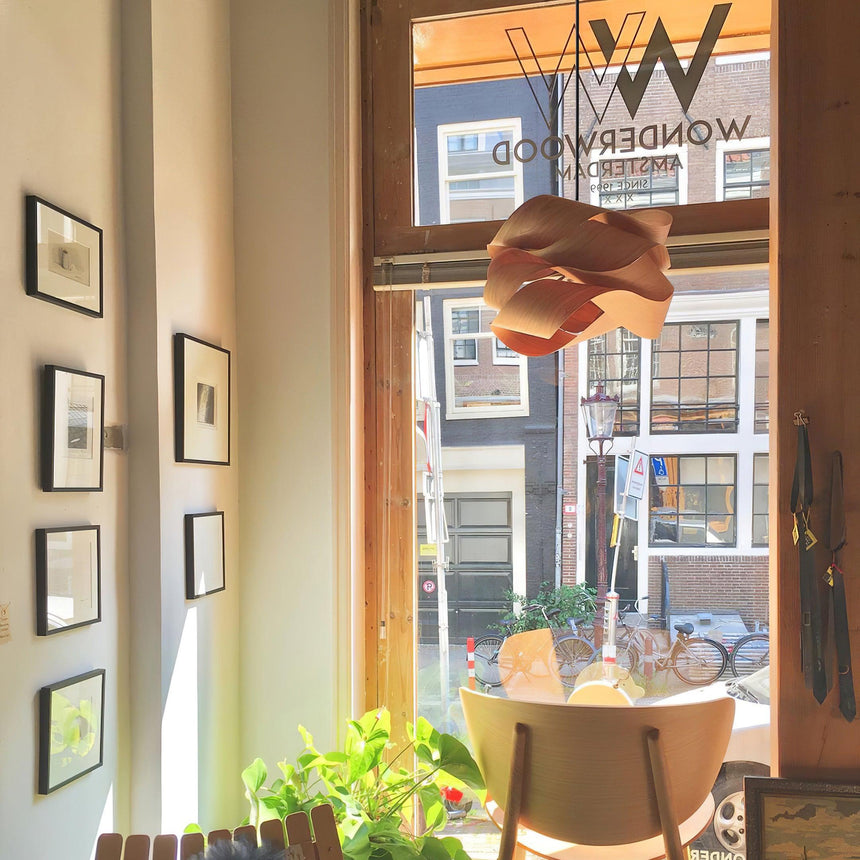 SylvaOak Pendant Light Natural Focal Point Accent - OpalDwell
