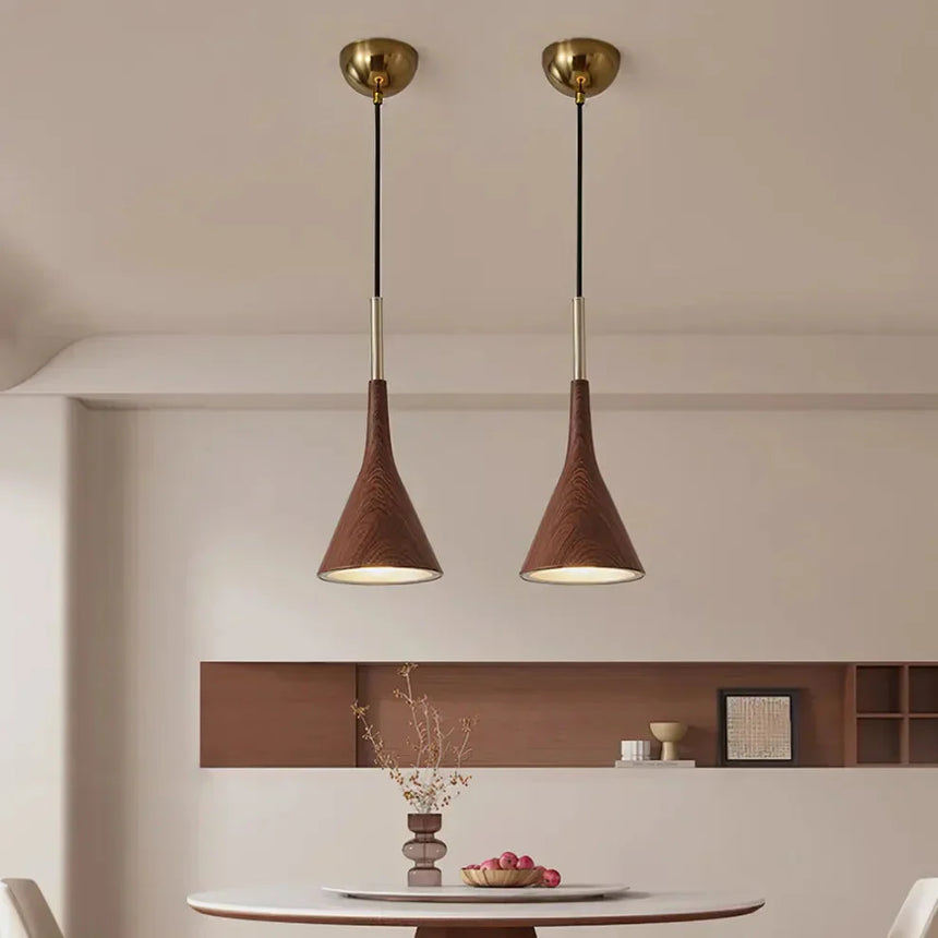 Retro Hanging Lamp Fixture Detail