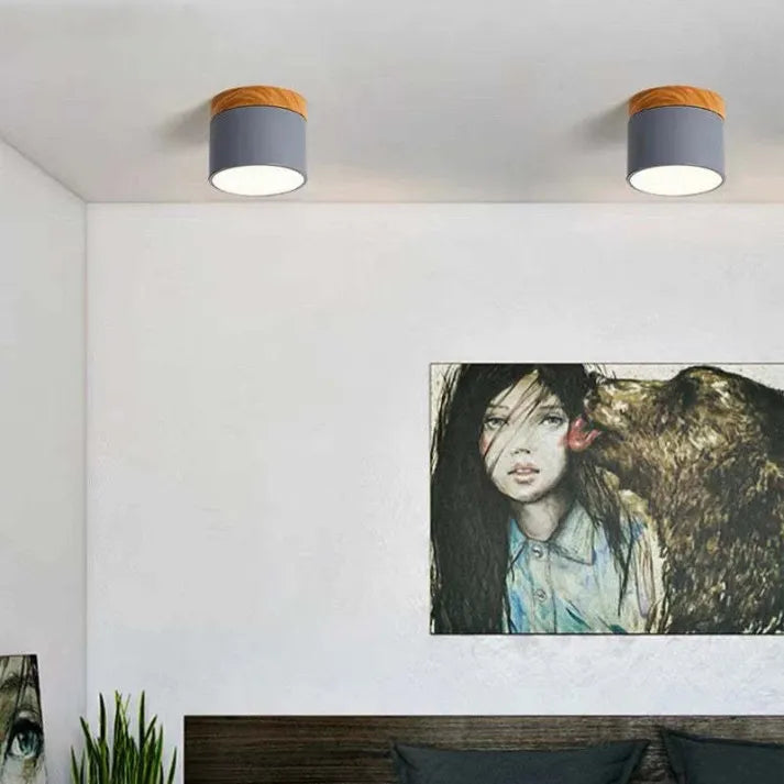 Ceiling Light In Aluminum Finish - OroDwell