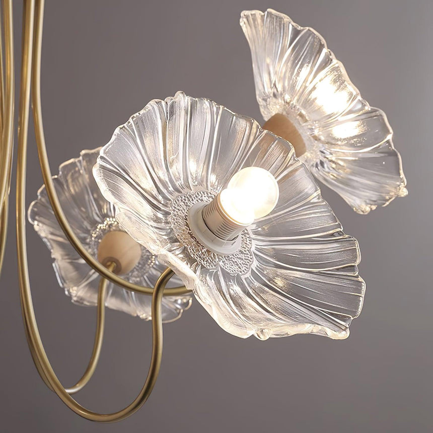 Chandelier installed above dining table