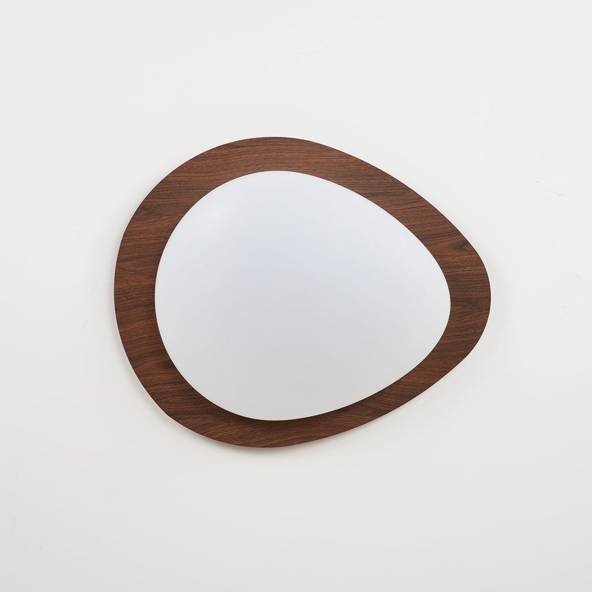 Nature Inspired Ceiling Light for Living Room