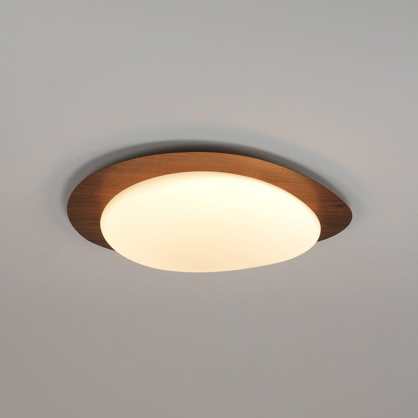 Nature Inspired Ceiling Light for Living Room