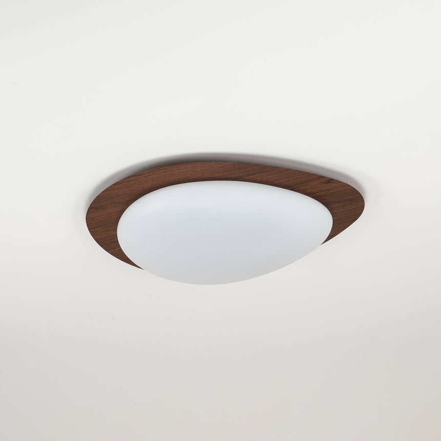 Nature Inspired Ceiling Light for Living Room