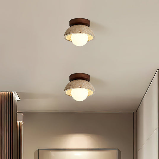Wood Accent Ceiling Light Modern Fixture