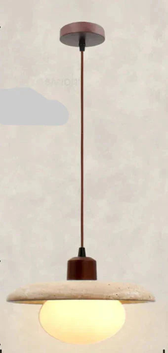 Organic pendant light for contemporary homes