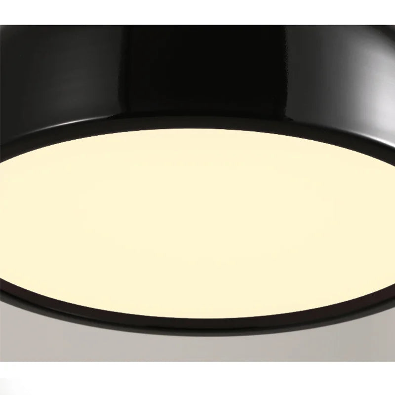 Acrylic Round Pendant Light Complete Product Overview - OpalDwell