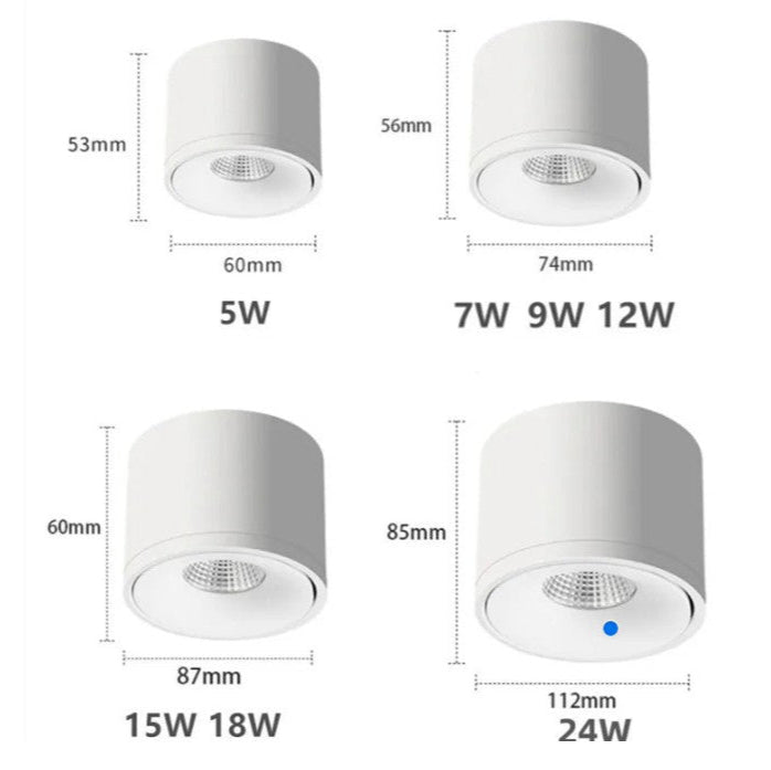 Ceiling Spotlight Full Product View OpalDwell