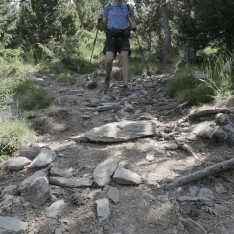 PeakGlide Adjustable Telescopic Trekking Poles