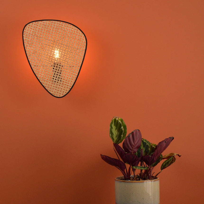 A cane panel lit on an orange wall above a potted plant
