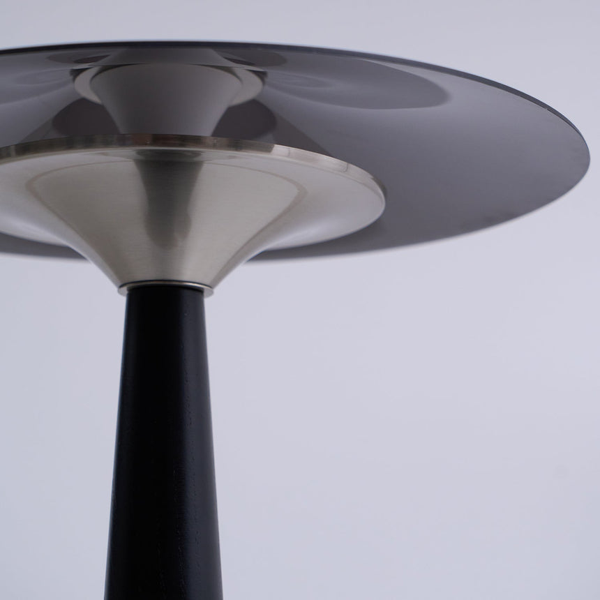 The underside of the disc and the reflector seen from below