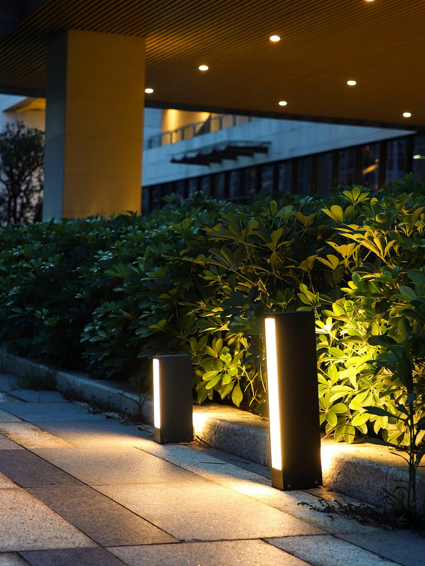 Two lit among glossy planting beside a lit entry and a stone path