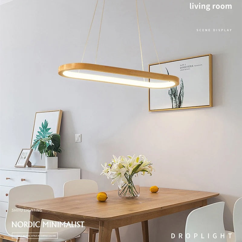 Pendant Light for Kitchen Fixture