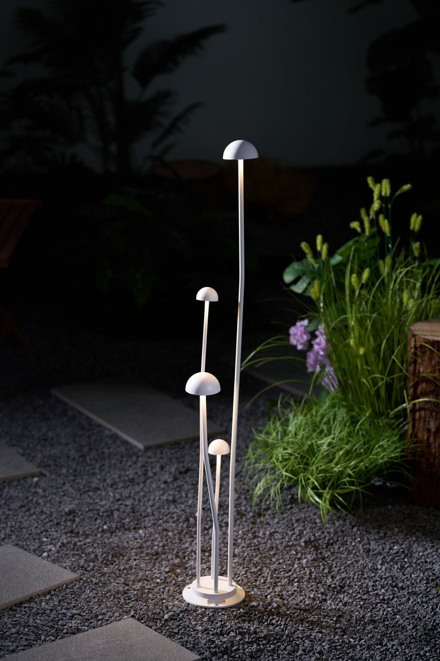 The shorter caps lit close to gravel beside a dark planted bed