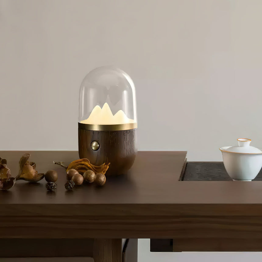 Nursery table lamp lit on a dark wooden table beside dried seed pods