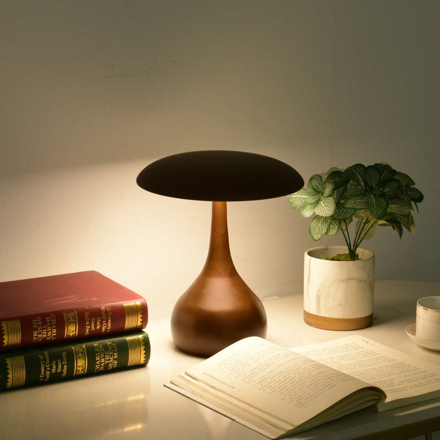 Portable table lamp lit at dusk on a desk with books