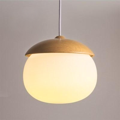 Pendant Light for Home Decor Enthusiasts