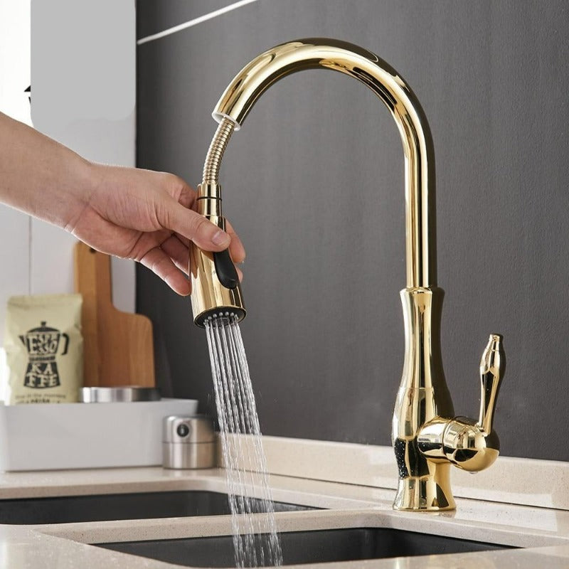 Extendable Faucet Additional View