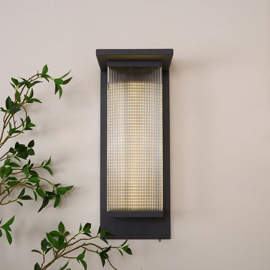 The light lit on a warm render wall with a plant crossing in front of it