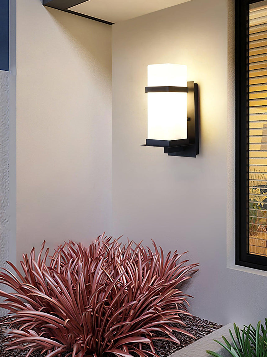 The light on a white wall above a red leafed plant, beside a dark window frame