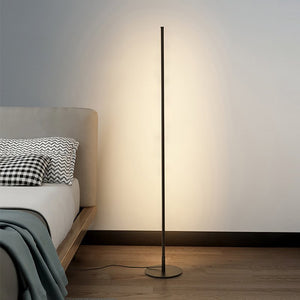 Dimmable Floor Lamps
