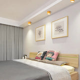 Ceiling Light Installed In Living Room Setting - OroDwell