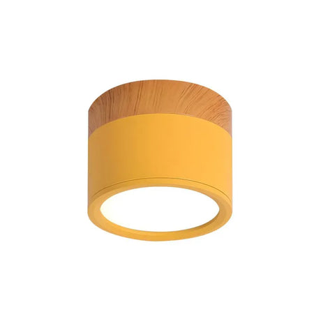 Aluminum Ceiling Light Energy-Efficient LED Lighting - OroDwell