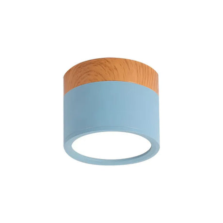Ceiling Light Installed In Living Room Setting - OroDwell