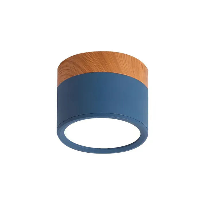 Aluminum Ceiling Light For Modern Home Decor - OroDwell