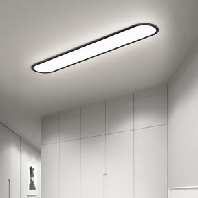 NovaOval Ceiling Light Close-Up Fixture Detail