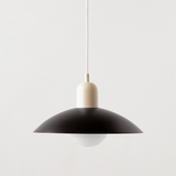 Iron and Glass Finish Pendant Light Design Detail | OroDwell