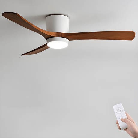 Nordic Ceiling Fan Light Diagram View