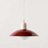 Iron and Glass Pendant Light for Dining Room Lighting | OroDwell