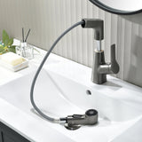 Swivel Kitchen Faucet Spray Head Detail