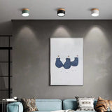 Aluminum Ceiling Light For Modern Home Decor - OroDwell