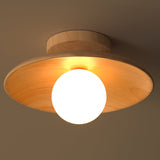 Ceiling Light for Contemporary Homes