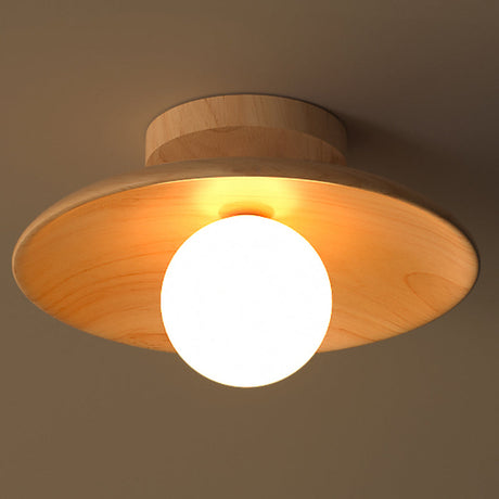 Ceiling Light for Contemporary Homes