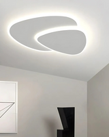 Ceiling Light Detail Close Up