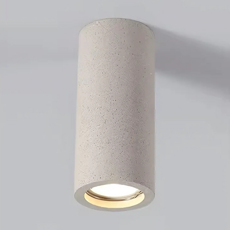 Metal Ceiling Lamp for Kitchen Lighting