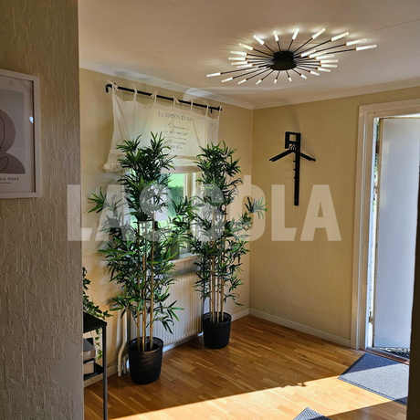 Asterra Ceiling Lamp 12-Light Configuration