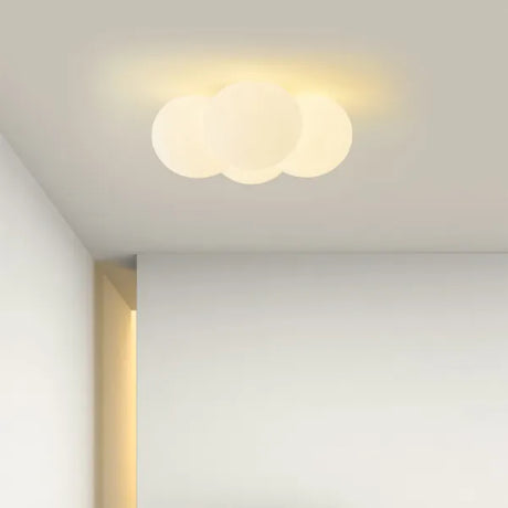 Ceiling Light for Home Office Lighting