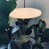 Oval LED Pendant Lamp for Living Room