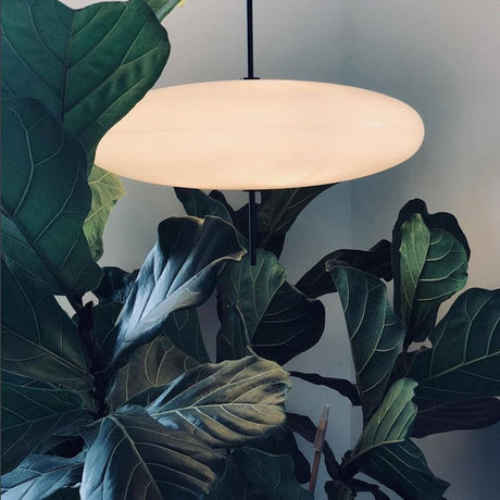 Oval LED Pendant Lamp for Living Room